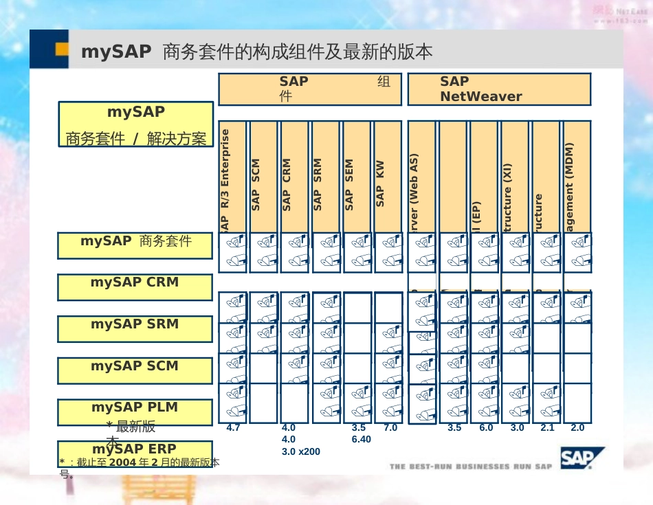 SAP-SCM-项目总览[共34页]_第3页