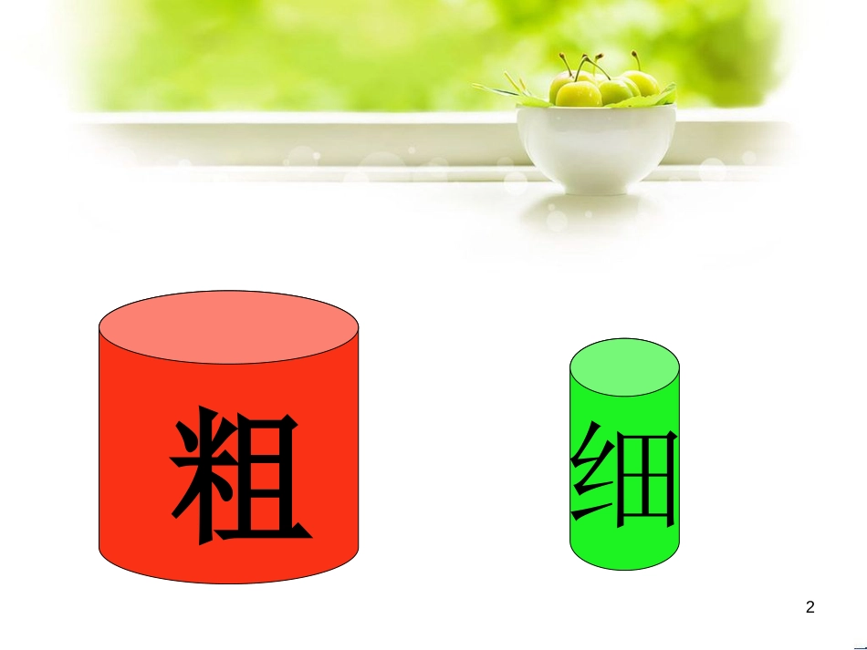 比较粗细[共9页]_第2页