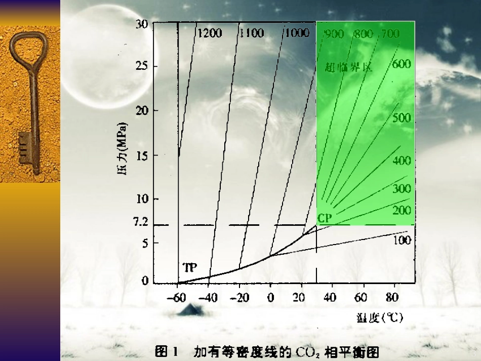 超临界萃取技术及其应用[共37页]_第3页