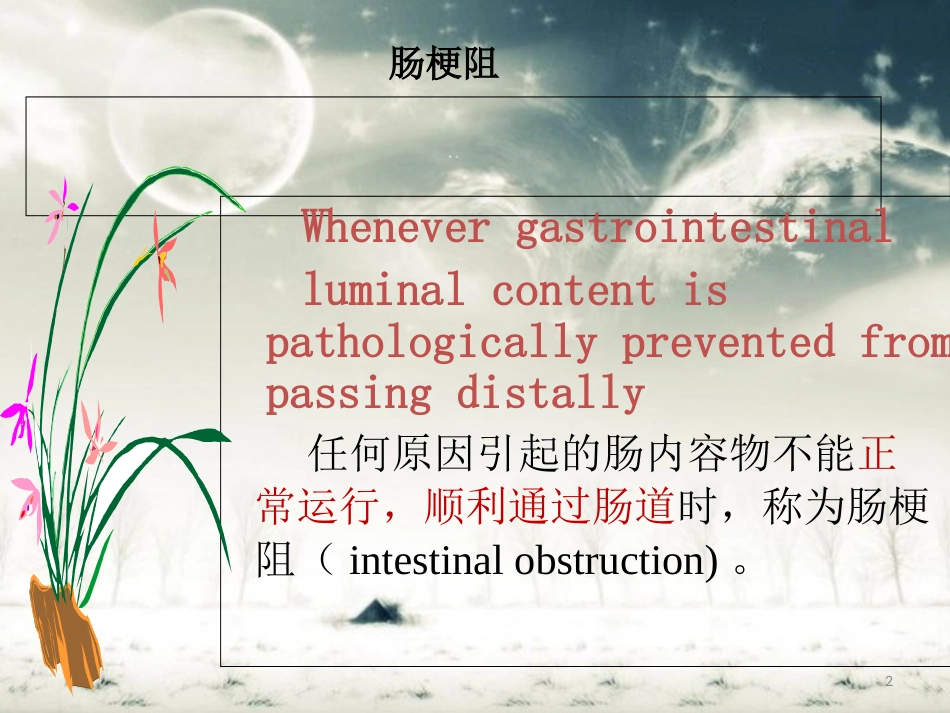 肠梗阻的诊断思维[共66页]_第2页