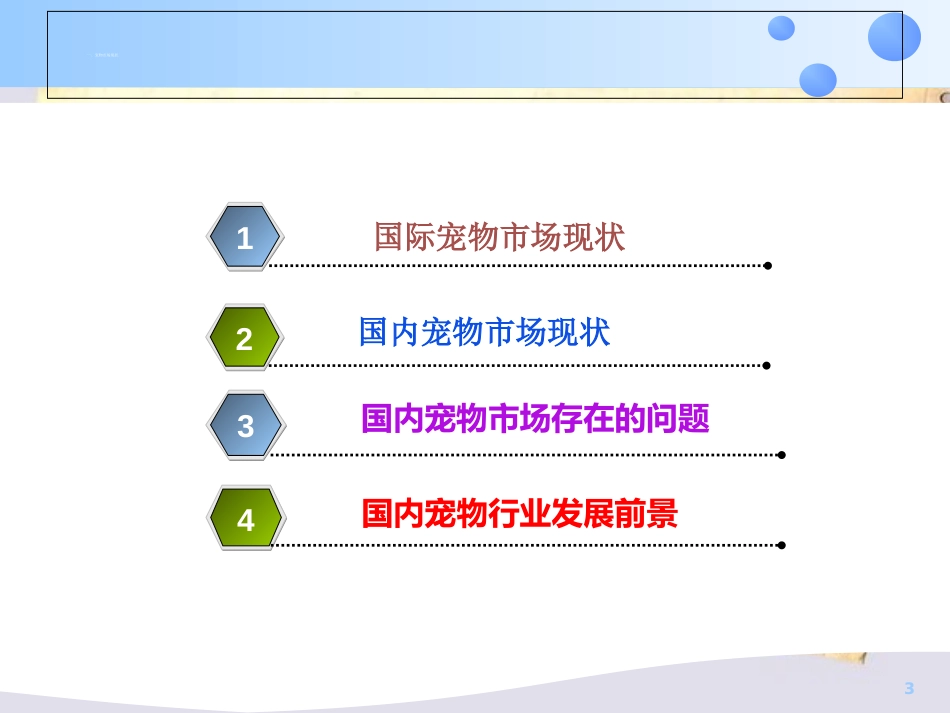 宠物市场消费者行为分析及建议方案PPT(共-32张)_第3页