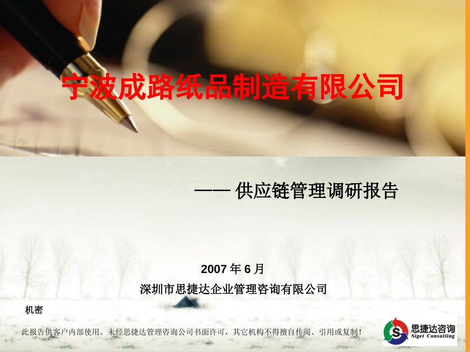 成路项目调研报告_第1页