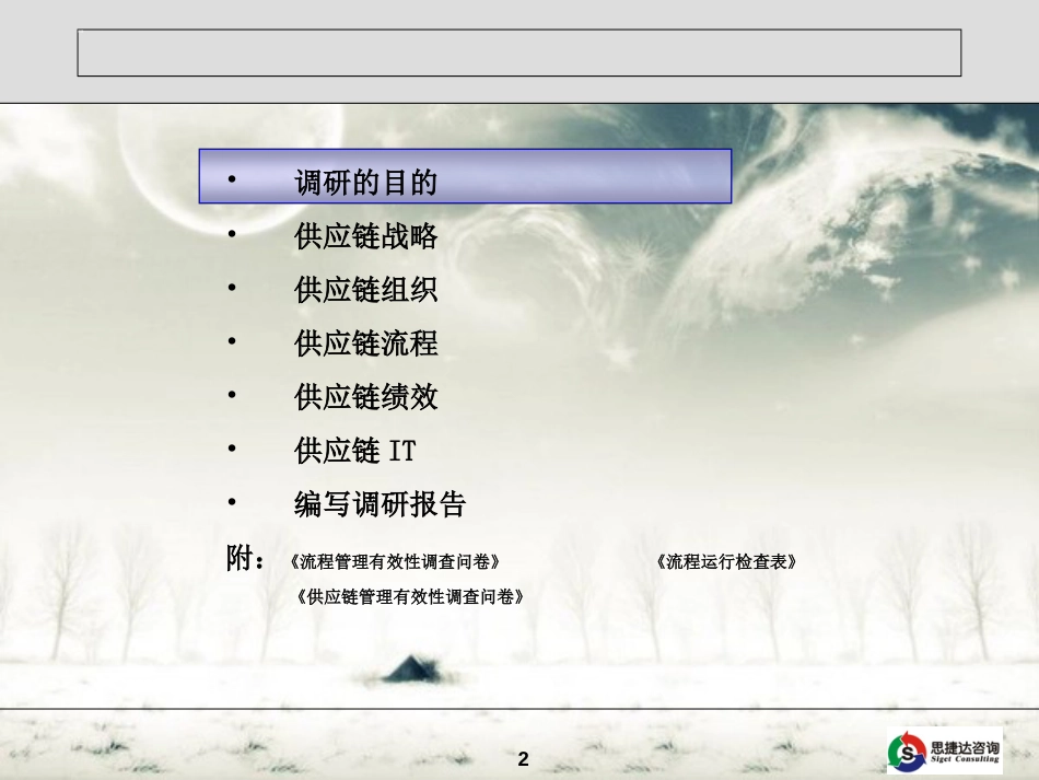 成路项目调研报告_第2页