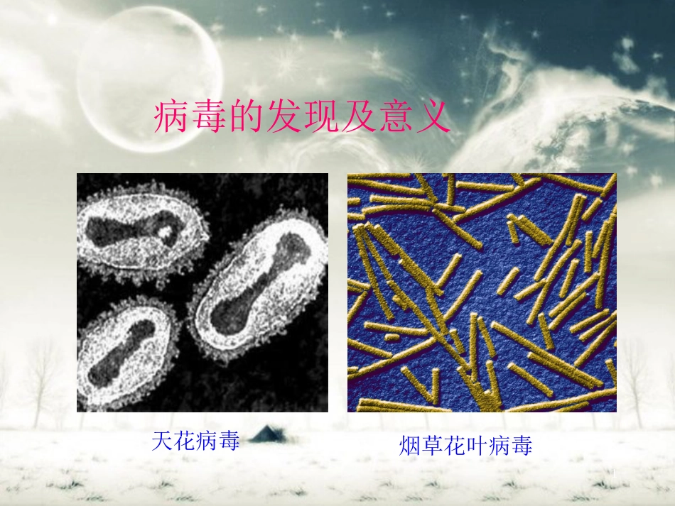 病毒的发现及意义[共17页]_第1页