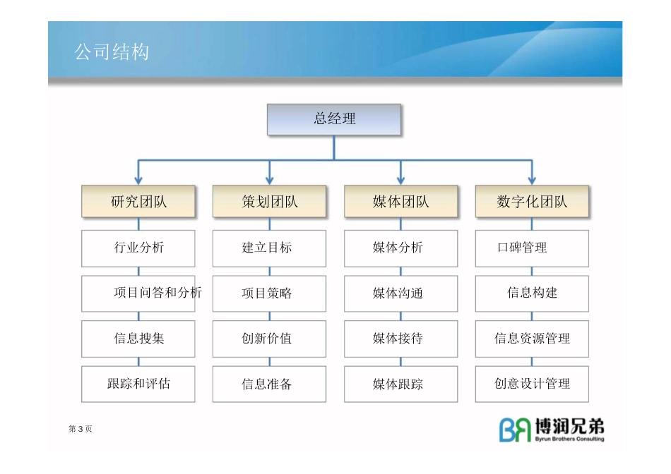 博润兄弟管理顾问公司简介_第3页