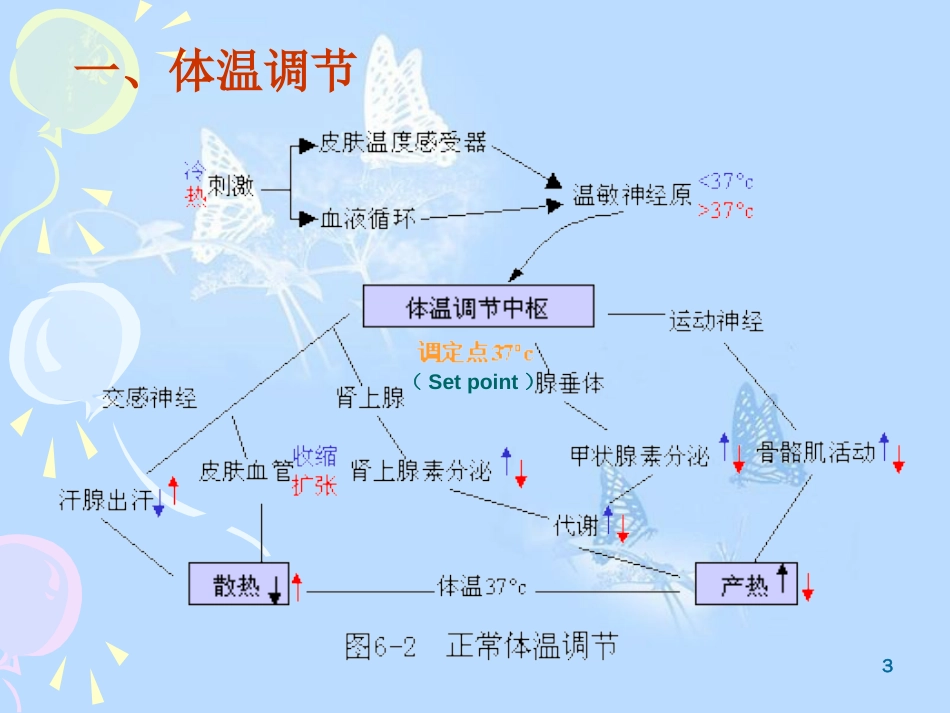 动物病理学发热PPT课件_第3页