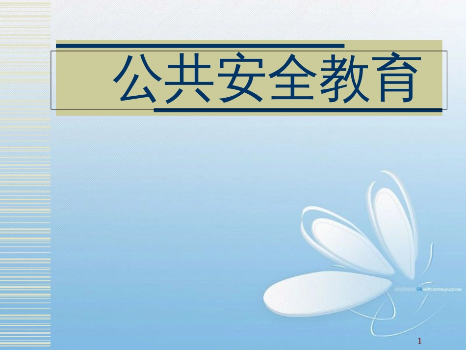 公共安全教育[共106页]_第1页