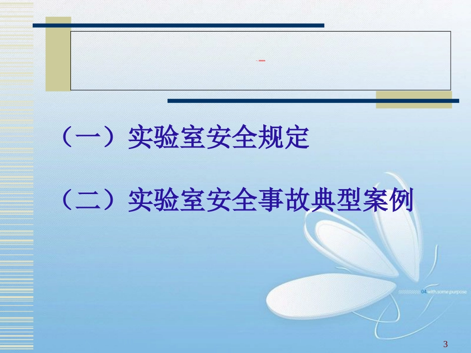 公共安全教育[共106页]_第3页