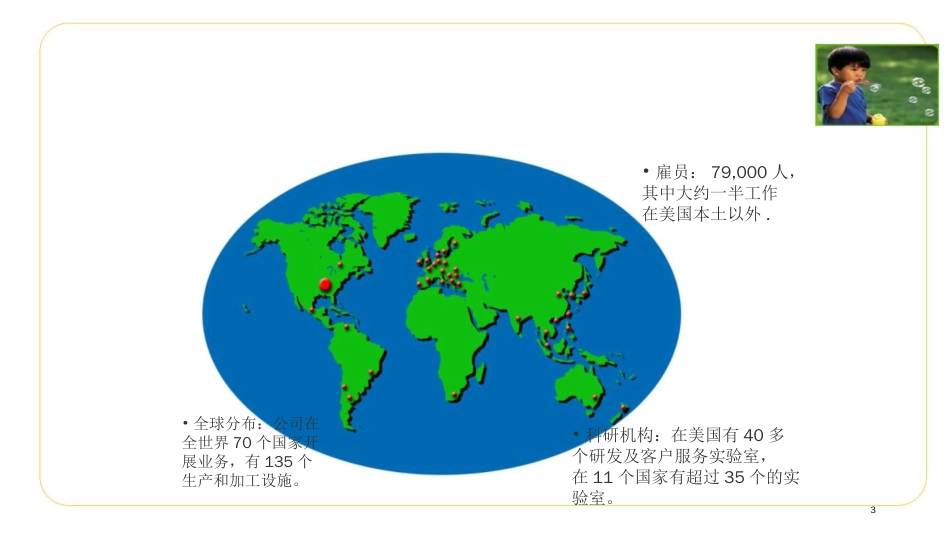 杜邦安全管理模式PPT40页_第3页