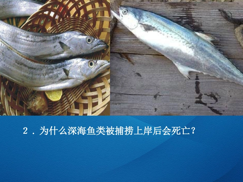 第二节液体压强课件_第2页