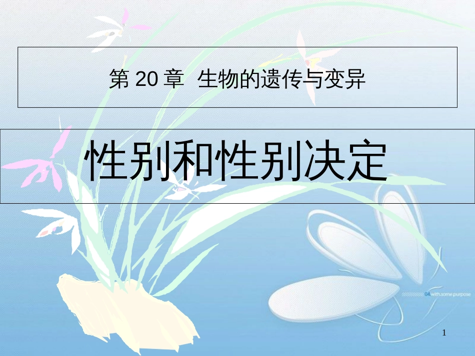 第20章 生物的遗传与变异性别和性别决定_第1页