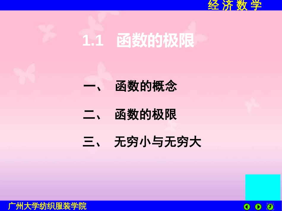 大学经济数学[共51页]_第2页