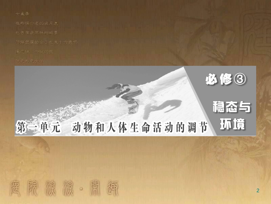 高中生物必修三复习课件[共604页]_第2页