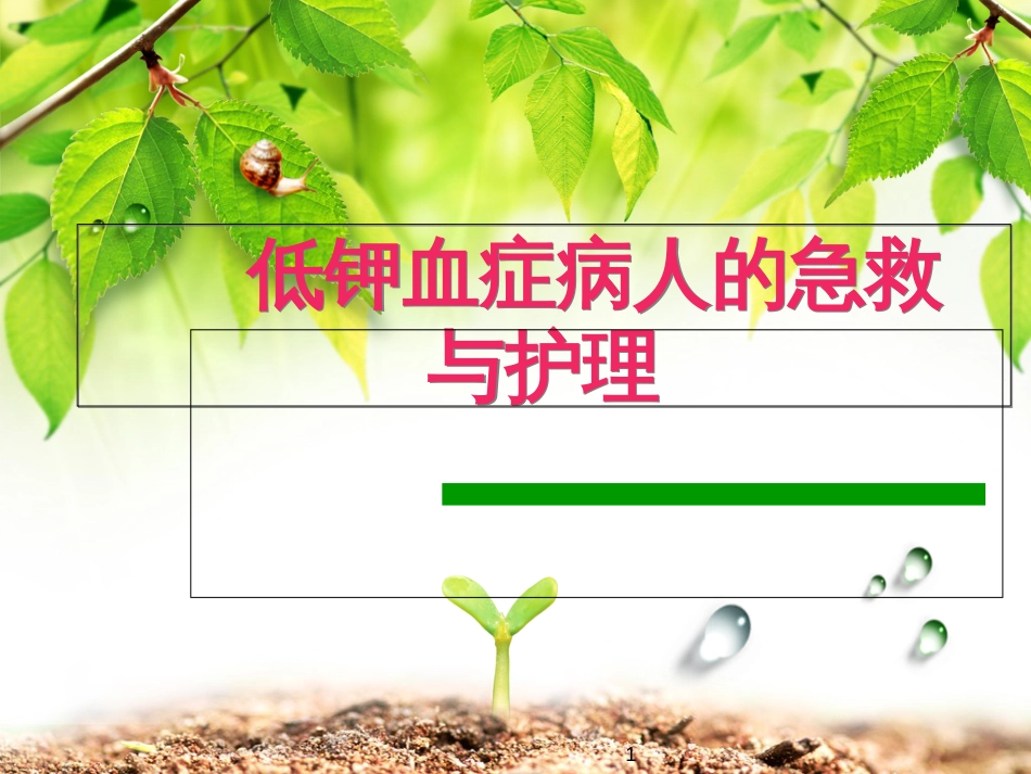 低钾血症的观察与-护理_第1页