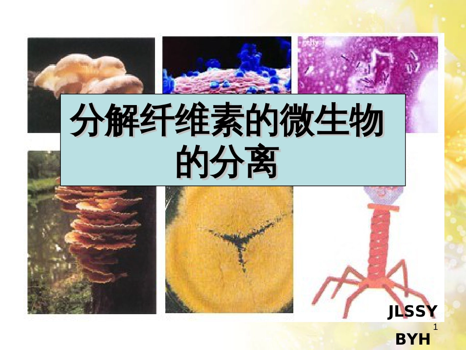 公开课-分解纤维素的微生物的分离[共31页]_第1页