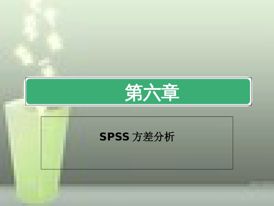 第六章-SPSS方差分析_第1页