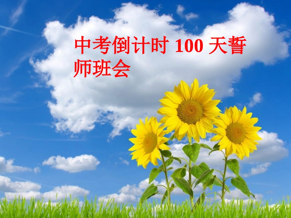 倒计时100天主题班会[共29页]_第1页