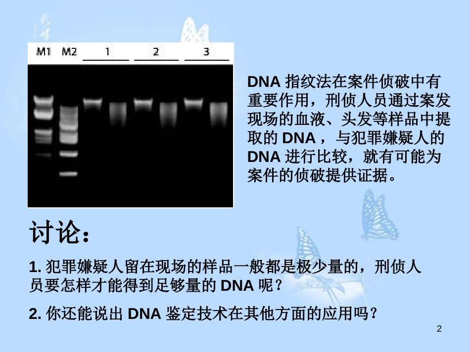 多聚酶链式反应扩增DNA片段[共31页]_第2页