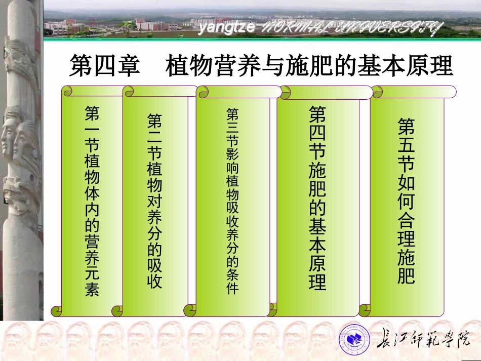第四章-植物营养与施肥的基本原理_第2页