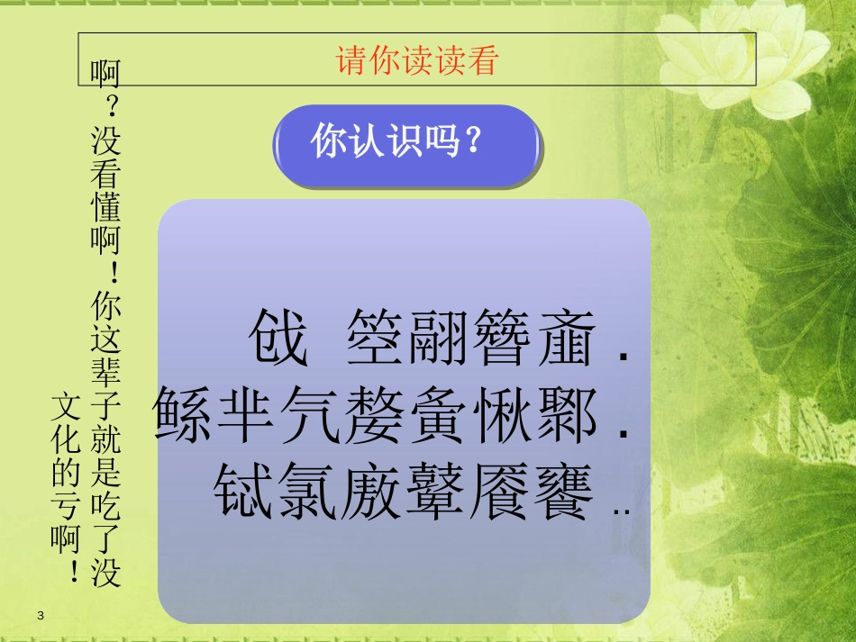 高中思想政治必修三文化生活第一课第一框体味文化_第3页