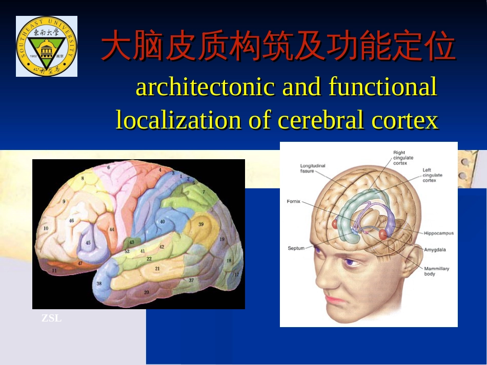 大脑皮质结构与功能分区4[共31页]_第1页