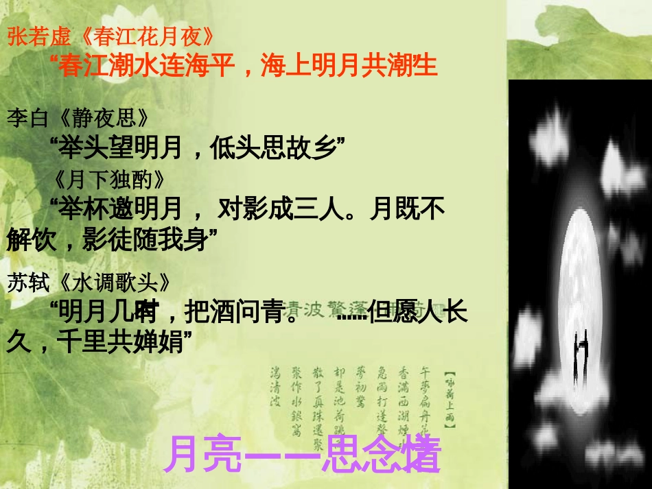 高三语文说木叶1[共30页]_第3页