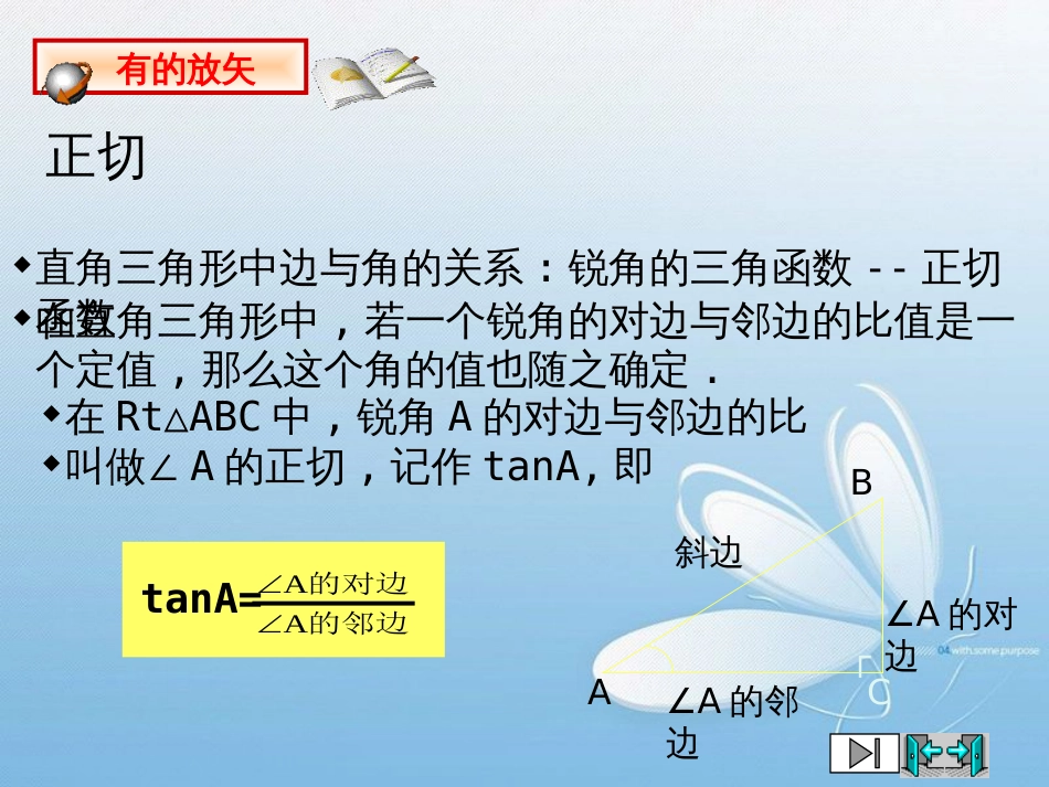 第一章直角三角形的边角关系从梯子的倾斜程度谈起_第2页