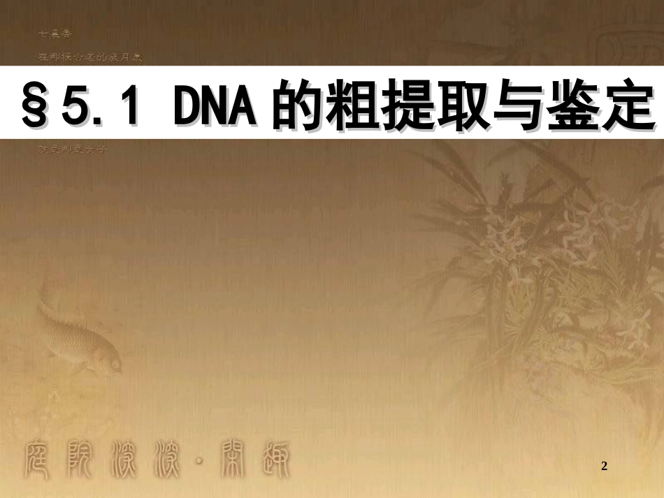 高中生物选修一--DNA的粗提取与鉴定[共23页]_第2页