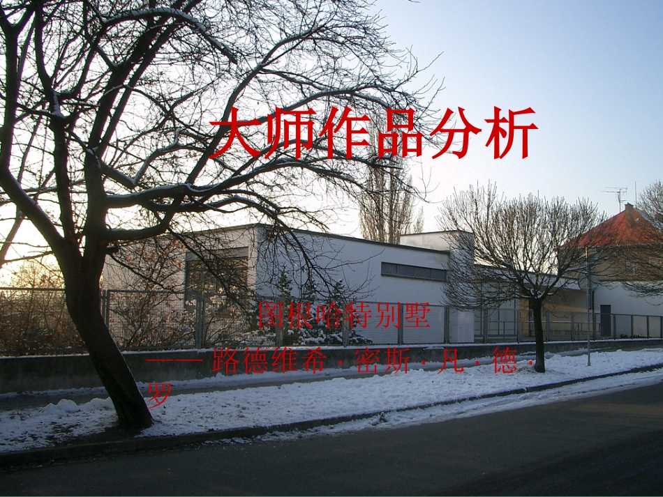 大师作品分析——图根哈特住宅(孙广松、伍鹏程、王英文)[共18页]_第1页
