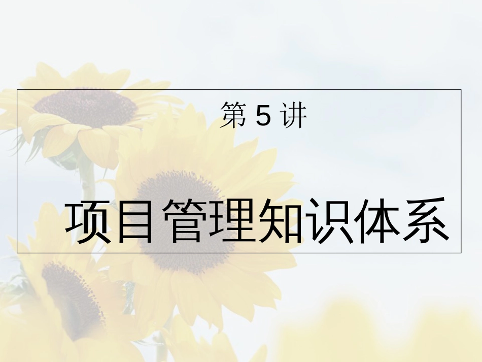 第5讲-项目管理知识体系_第1页