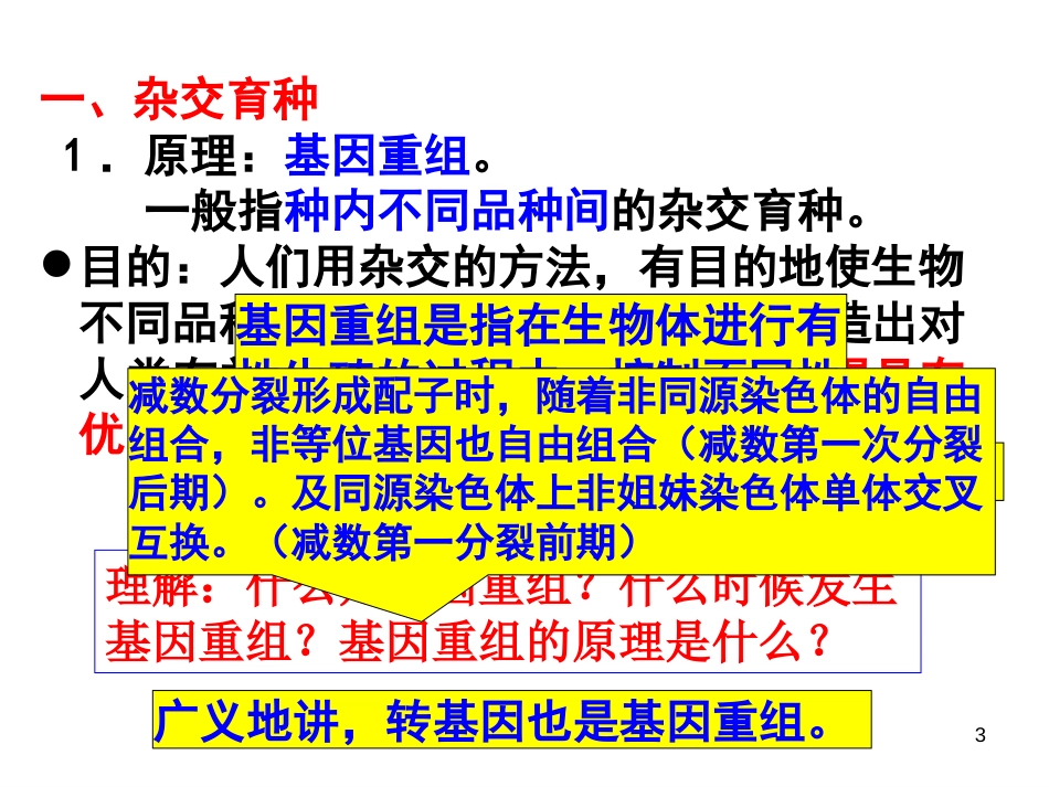 高中生物专题3育种与遗传问题[共34页]_第3页