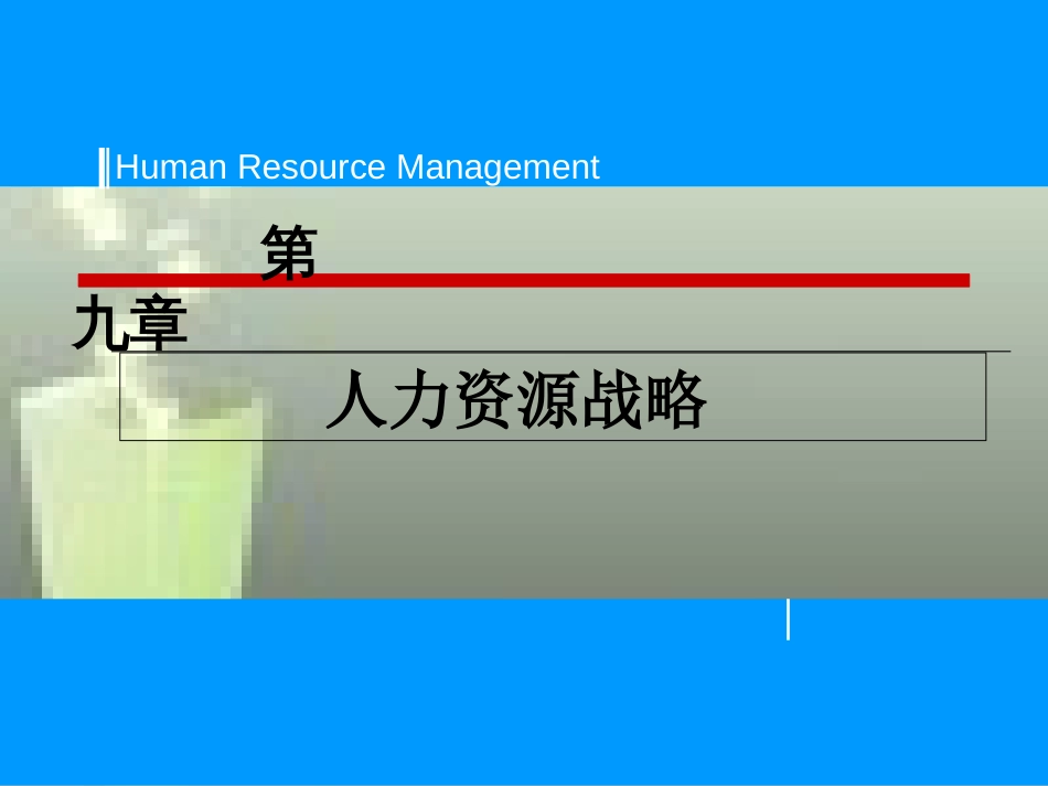 第9章人力资源战略_第1页