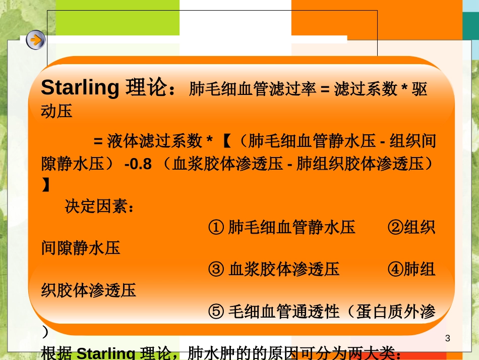 肺水肿的影像学表现[共45页]_第3页