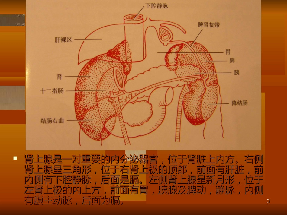 腹腔镜下肾上腺切除[共31页]_第3页