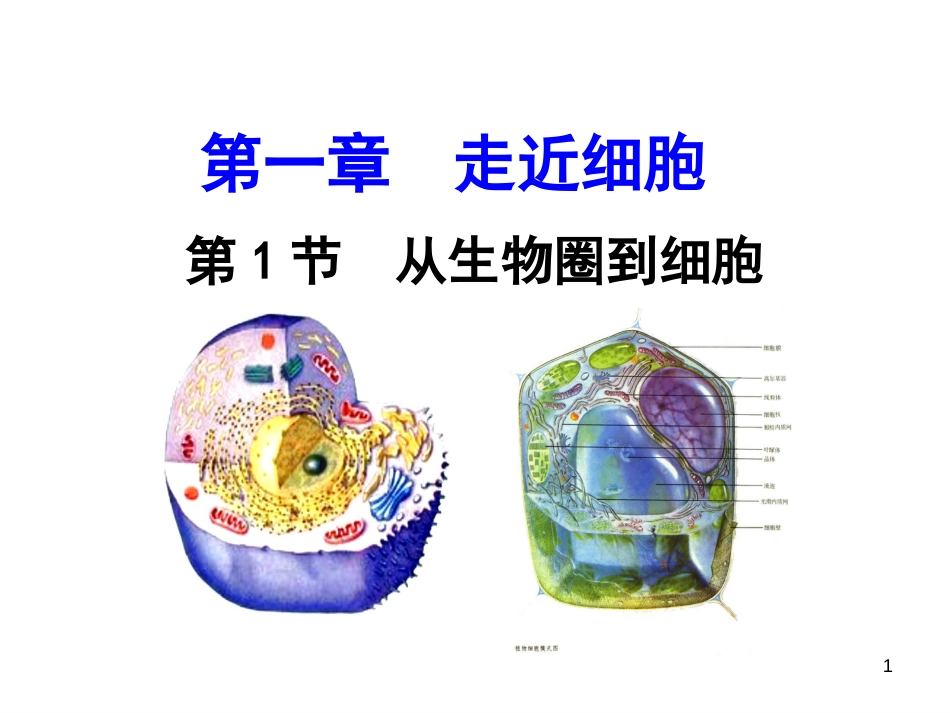 高三生物第一轮复习--必修一全套课件[共272页]_第1页