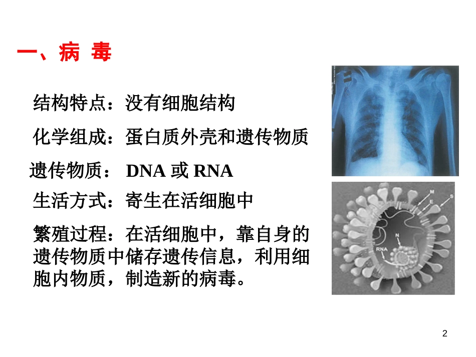 高三生物第一轮复习--必修一全套课件[共272页]_第2页