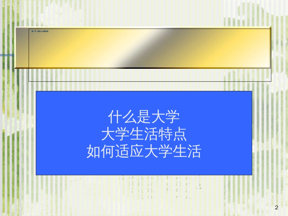 大学生入学教育[共104页]_第2页