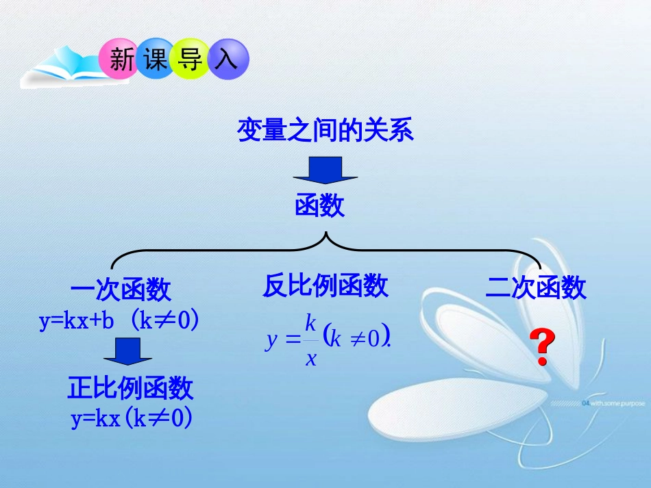 第二章 二次函数二次函数所描述的关系_第3页