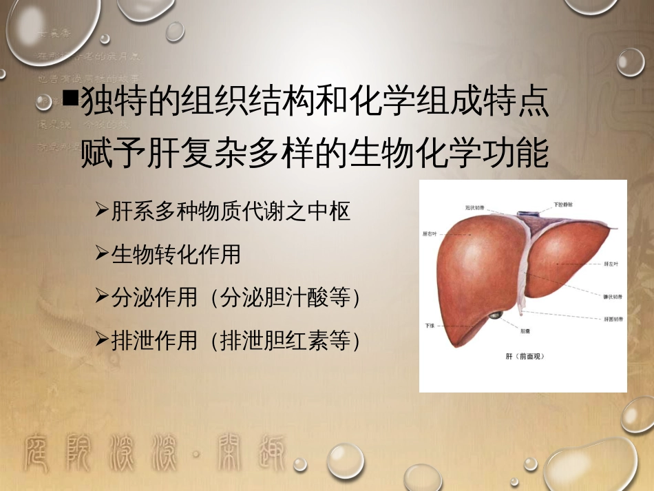 肝脏在脂类代谢中的作用[共57页]_第3页