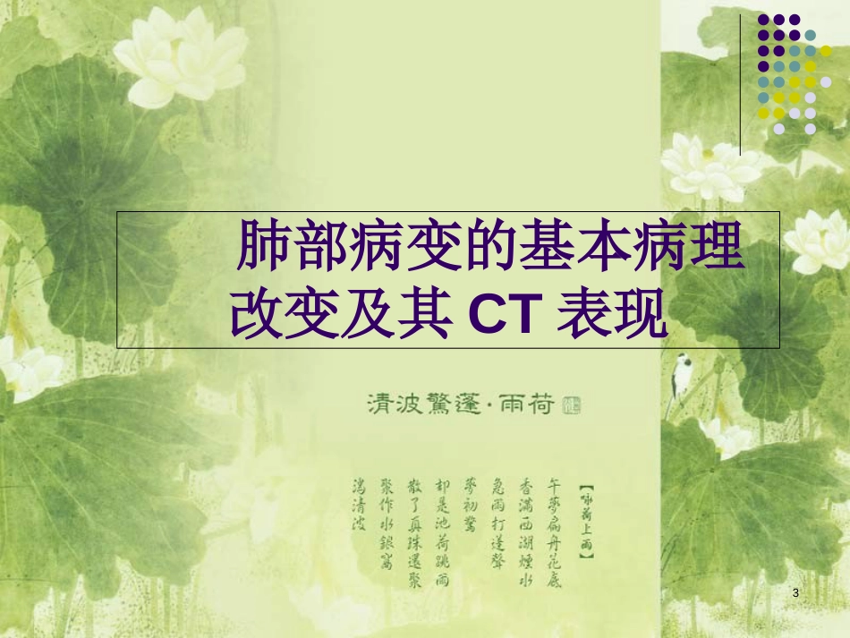 肺部常见病变的CT表现[共47页]_第3页