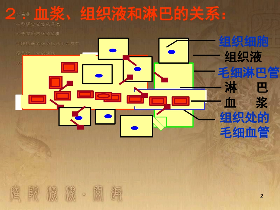 高中生物必修3复习课件[共56页]_第2页