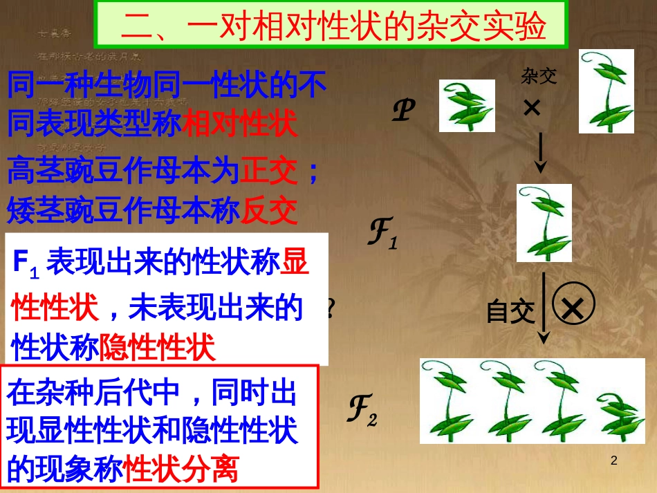 高中生物必修二--章复习课件--好用可备用[共63页]_第2页
