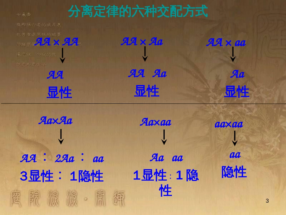 高中生物必修二--章复习课件--好用可备用[共63页]_第3页