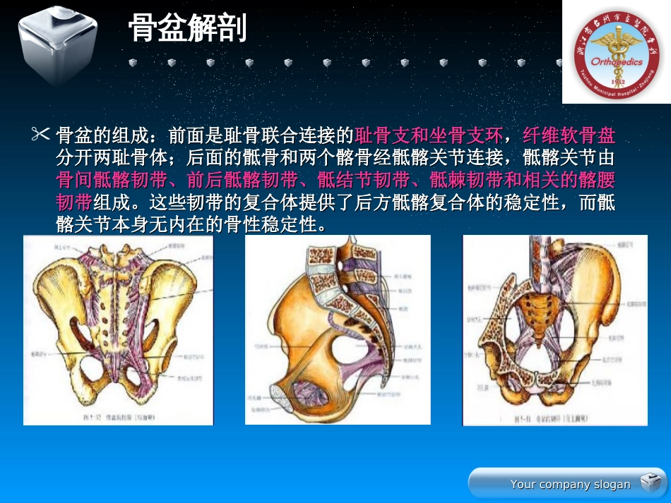 骨盆骨折的分型及治疗[共53页]_第3页