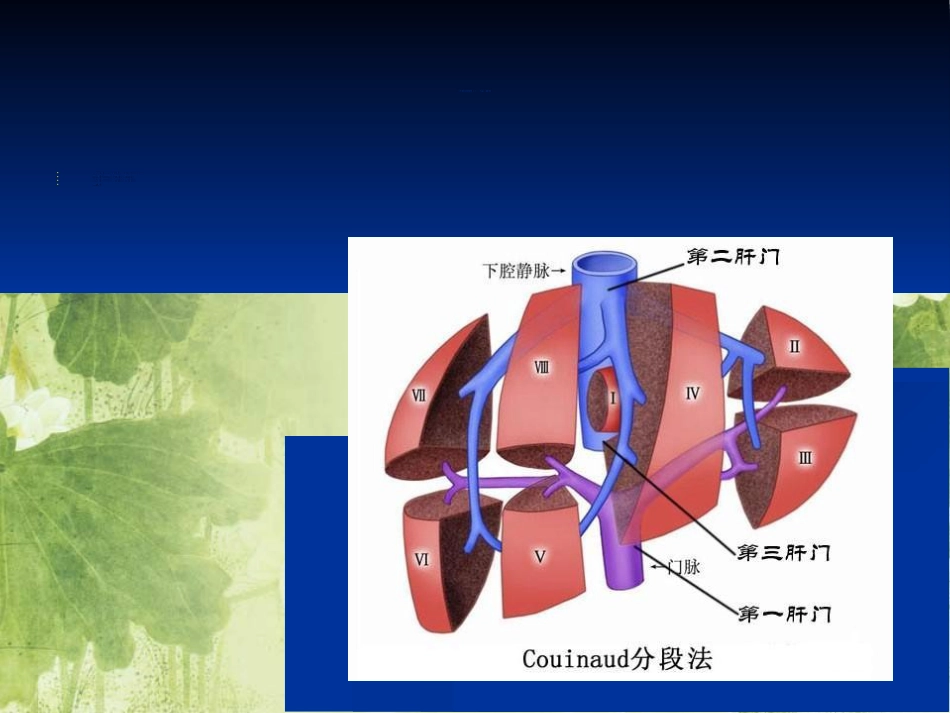 肝脏常见原发肿瘤的CTMRI表现[共85页]_第3页