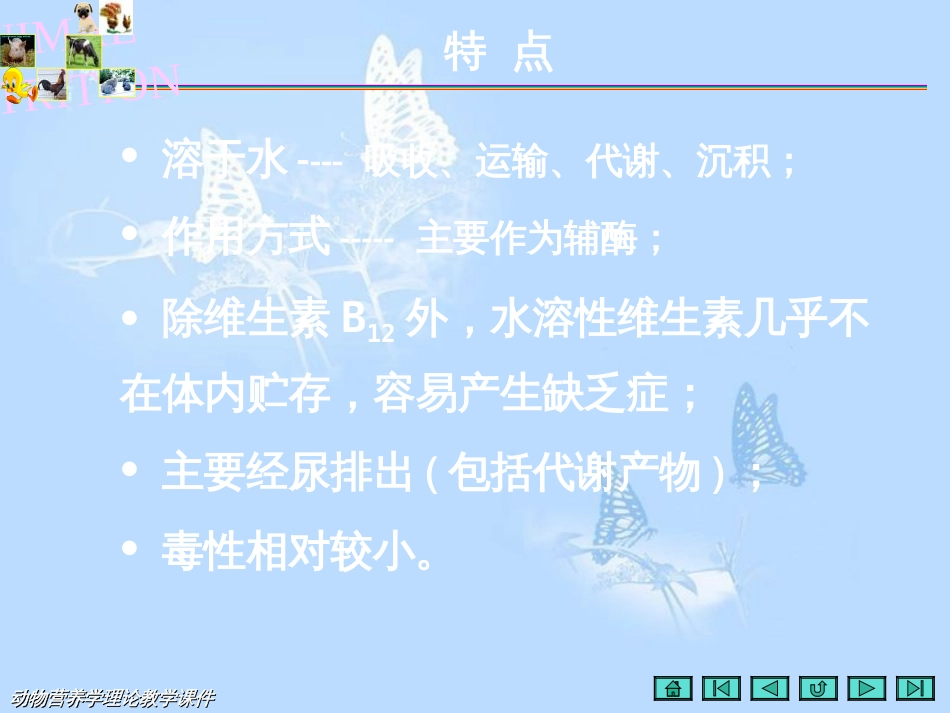 动物营养学第三节水溶性维生素[共91页]_第2页