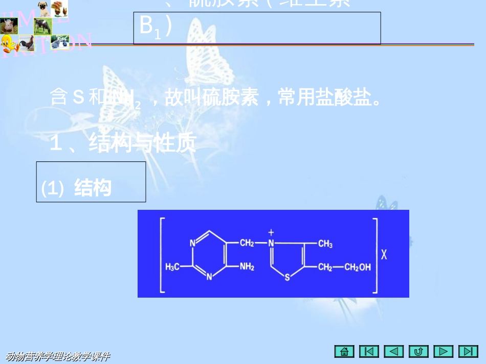 动物营养学第三节水溶性维生素[共91页]_第3页