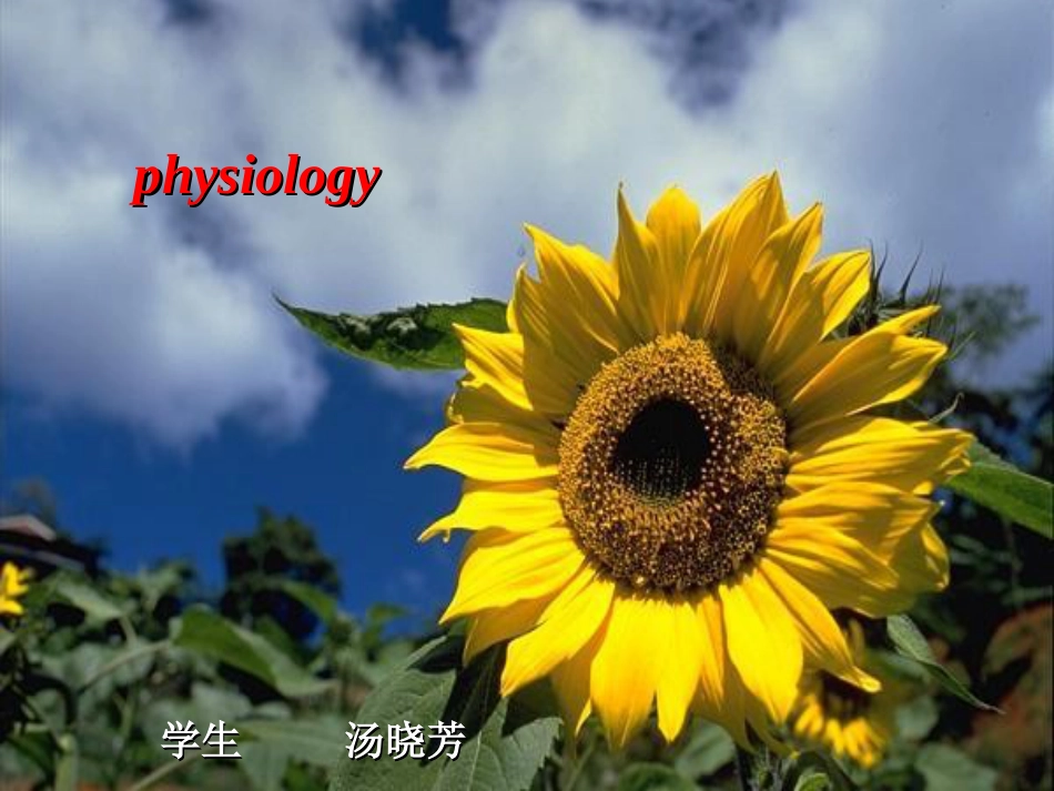 胆汁的分泌和排出[共13页]_第1页