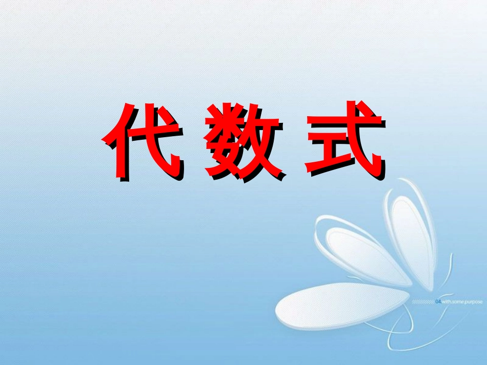 代 数 式[共13页]_第1页