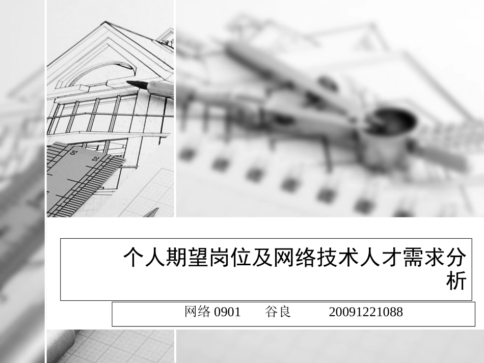 个人期望岗位及网络技术人才需求分析[共14页]_第1页